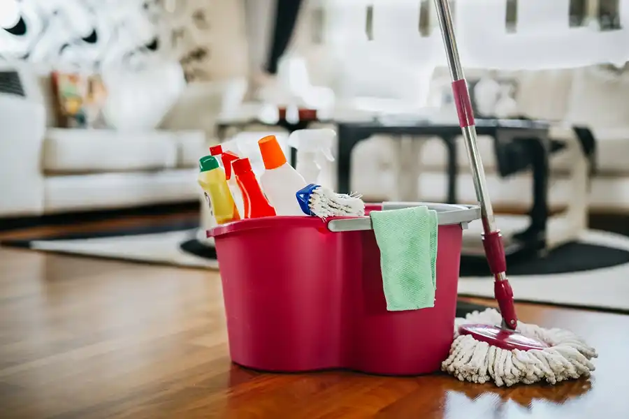Divine Child Cleaning Services's other services Divine Child Cleaning Services's other services